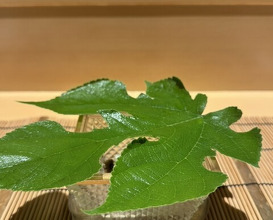 Dinner at Ginza Shinohara