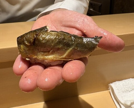 Dinner at Ginza Shinohara