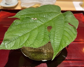 Dinner at Ginza Shinohara
