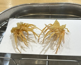 Dinner at Tempura Shoshin An (天ぷら 正心庵)