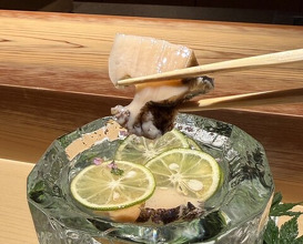 Dinner at Sushi shota (Sapporo)
