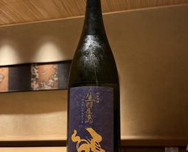 Dinner at Sushi shota (Sapporo)