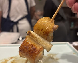 Dinner at Shutei Tanaka