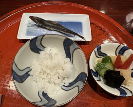 Dinner at Kusajiki Nakahigashi (草喰 なかひがし)