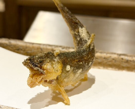 Dinner at Nihonbashi Sonoji (日本橋 蕎ノ字)
