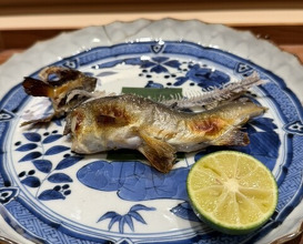 Dinner at Suetomi (末冨)