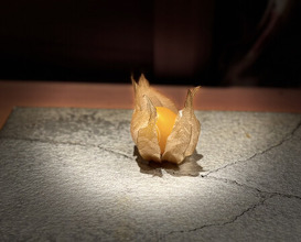 Dinner at Sushi Ei (寿司栄)