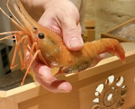 Dinner at Sushi Ei (寿司栄)