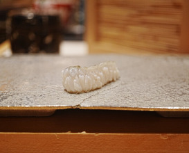 Dinner at Sushi Ei (寿司栄)