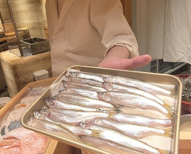 Dinner at Sushi Ei (寿司栄)