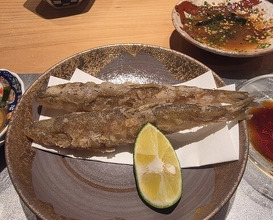 Dinner at Sushi Ei (寿司栄)