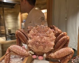 Dinner at Sushi Ei (寿司栄)