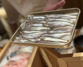 Dinner at Sushi Ei (寿司栄)