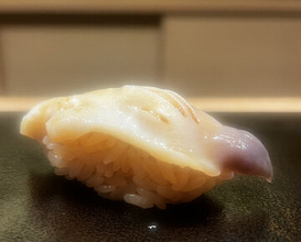 Dinner at Susukino Sushi Kin (すゝき野 鮨金)