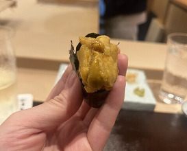 Dinner at Sushi Sai Wakichi (鮨菜 和喜智)