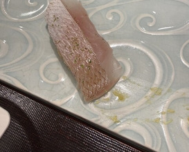 Dinner at Sushi Sai Wakichi (鮨菜 和喜智)