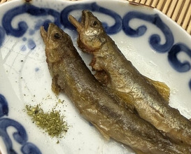 Dinner at Sushi Sho Yotsuya