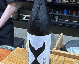 Dinner at Sushi Sho Nomura (鮨匠 のむら)