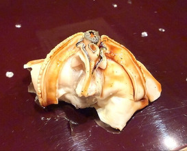 Dinner at Sushisho Saitō (すし匠 齋藤)