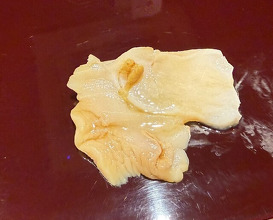 Dinner at Sushisho Saitō (すし匠 齋藤)