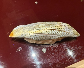 Dinner at Sushisho Saitō (すし匠 齋藤)