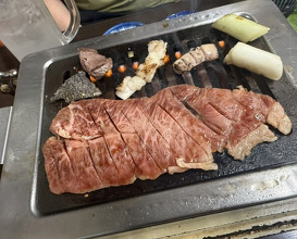 Dinner at Stamina En (スタミナ苑)