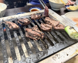 Dinner at Stamina En (スタミナ苑)