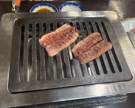 Dinner at Stamina En (スタミナ苑)