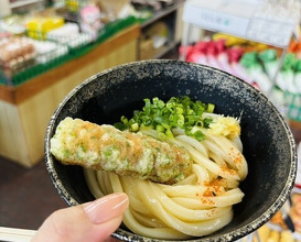 Dinner at Suzaki Shokuryohin Ten (須崎食料品店)