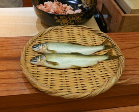 Dinner at Japanese cuisine Tagetsu (日本料理 太月)