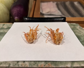 Dinner at Tenpaku (天白)