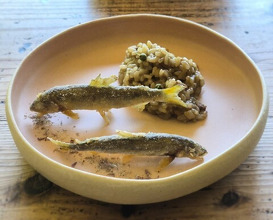 Dinner at Terroir Ai to Ibukuro (Terroir愛と胃袋)