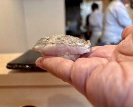Dinner at Tokiwa Sushi Shibata Honten