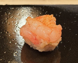 Dinner at Tokiwa Sushi Shibata Honten