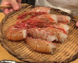 Dinner at Tokiwa Sushi Shibata Honten
