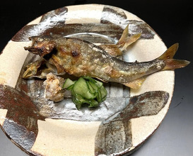 Dinner at Tokuha Motonari
