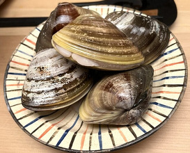 Dinner at Tokuha Motonari