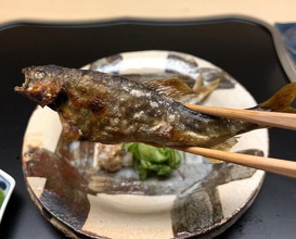 Dinner at Tokuha Motonari