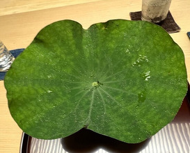 Dinner at Tokuha Motonari