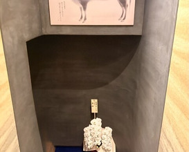 Dinner at subin (東京肉しゃぶ家 秀彬)