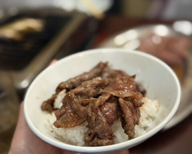 Dinner at Tokyo En (東京園)