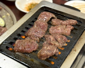 Dinner at Tokyo En (東京園)