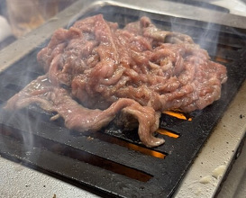 Dinner at Tokyo En (東京園)