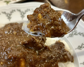 Dinner at European Curry Tomato (トマト)