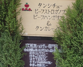 Dinner at European Curry Tomato (トマト)