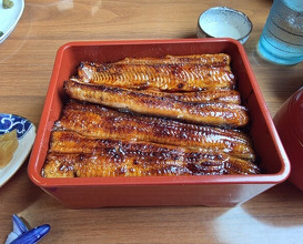 Dinner at Unagi Tei Tomoei (うなぎ亭 友栄)