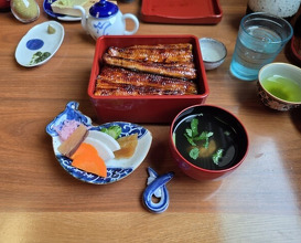 Dinner at Unagi Tei Tomoei (うなぎ亭 友栄)
