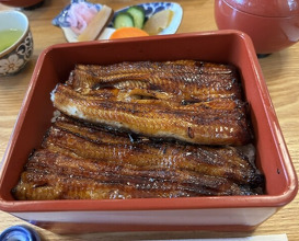 Dinner at Unagi Tei Tomoei (うなぎ亭 友栄)