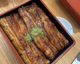 Dinner at Unagi Tei Tomoei (うなぎ亭 友栄)