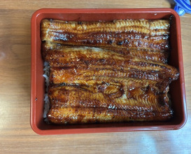 Dinner at Unagi Tei Tomoei (うなぎ亭 友栄)